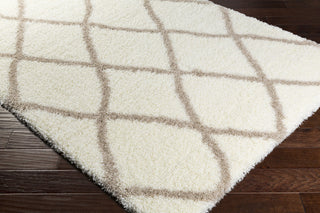 Surya Cloudy Shag CYS-3402 Area Rug Closeup