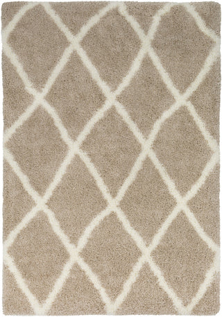 Surya Cloudy Shag CYS-3403 Area Rug main image