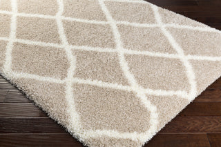 Surya Cloudy Shag CYS-3403 Area Rug Corner Image