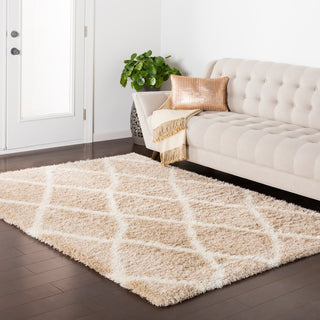 Surya Cloudy Shag CYS-3403 Area Rug Room Image Feature