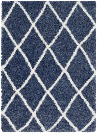 Surya Cloudy Shag CYS-3404 Area Rug main image