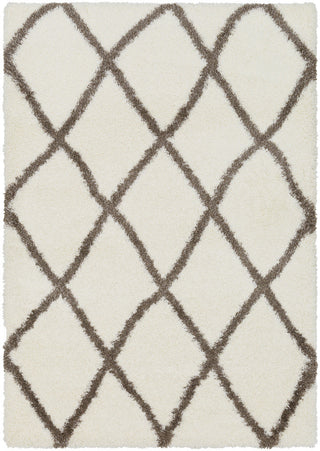 Surya Cloudy Shag CYS-3405 Area Rug main image