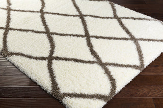 Surya Cloudy Shag CYS-3405 Area Rug Closeup