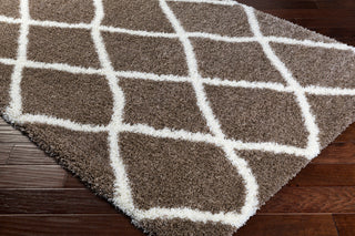 Surya Cloudy Shag CYS-3406 Area Rug Corner Image