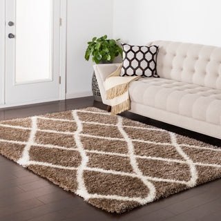 Surya Cloudy Shag CYS-3406 Area Rug Room Image Feature