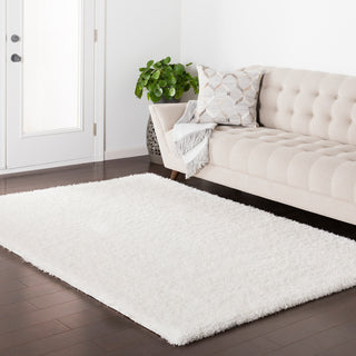 Surya Cloudy Shag CYS-3407 Area Rug Room Image Feature