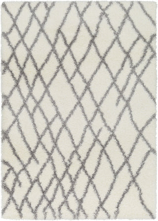 Surya Cloudy Shag CYS-3410 Area Rug main image