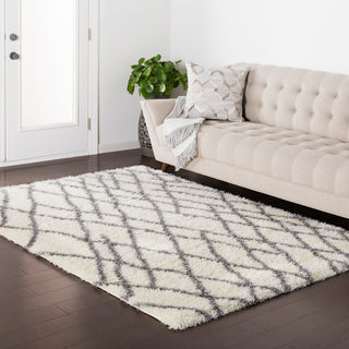 Surya Cloudy Shag CYS-3410 Area Rug Room Image Feature