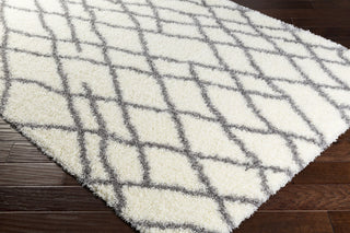 Surya Cloudy Shag CYS-3410 Area Rug Closeup