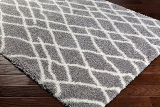 Surya Cloudy Shag CYS-3411 Area Rug Corner Image