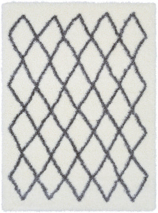 Surya Cloudy Shag CYS-3412 Area Rug main image