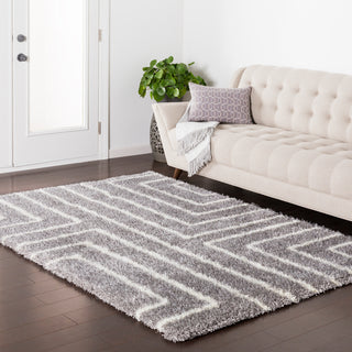 Surya Cloudy Shag CYS-3414 Area Rug Room Image Feature