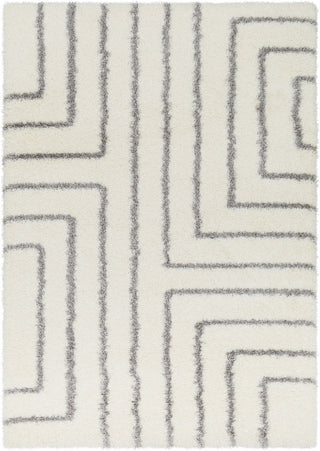 Surya Cloudy Shag CYS-3415 Area Rug main image