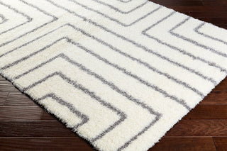 Surya Cloudy Shag CYS-3415 Area Rug Corner Image