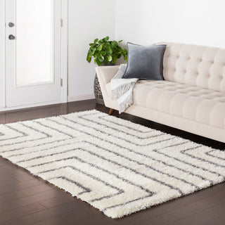 Surya Cloudy Shag CYS-3415 Area Rug Room Image Feature