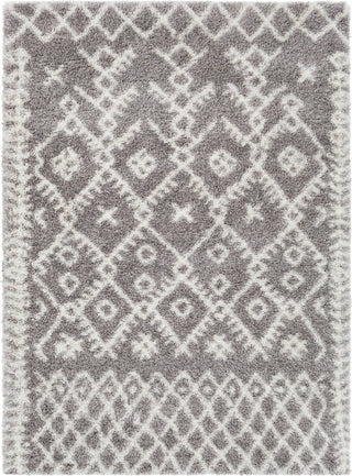 Surya Cloudy Shag CYS-3416 Taupe Cream Black Area Rug main image