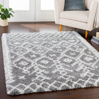 Surya Cloudy Shag CYS-3416 Area Rug Room Image Feature