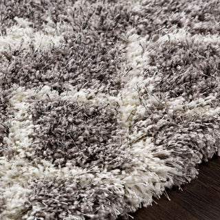 Surya Cloudy Shag CYS-3416 Taupe Cream Black Area Rug Texture Image