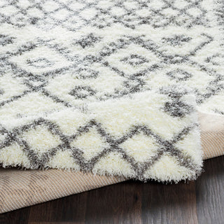 Surya Cloudy Shag CYS-3417 Cream Taupe Black Area Rug Pile Image