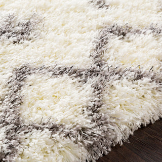 Surya Cloudy Shag CYS-3417 Cream Taupe Black Area Rug Texture Image