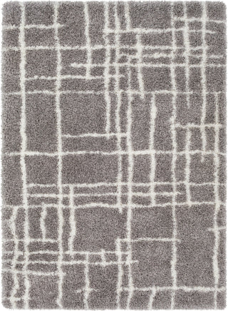 Surya Cloudy Shag CYS-3418 Area Rug main image