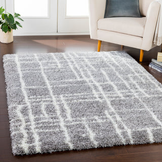 Surya Cloudy Shag CYS-3418 Area Rug Room Image Feature