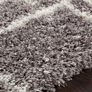 Surya Cloudy Shag CYS-3418 Area Rug Texture Image