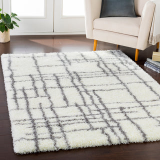 Surya Cloudy Shag CYS-3419 Area Rug Room Image Feature