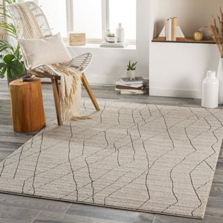 Surya Cozy CZY-2300 Area Rug Room Scene