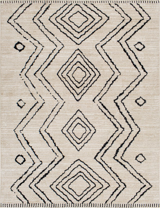 Surya Cozy CZY-2304 Area Rug main image