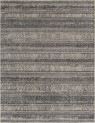 Surya Cozy CZY-2305 Area Rug main image