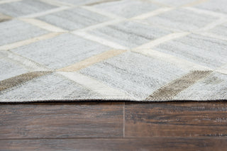 Rizzy Wild Thing WDT102 Gray Area Rug by Donny Osmond Home Edge Image