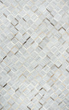Rizzy Wild Thing WDT102 Gray Area Rug by Donny Osmond Home main image
