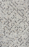 Rizzy Wild Thing WDT104 Gray Area Rug by Donny Osmond Home main image