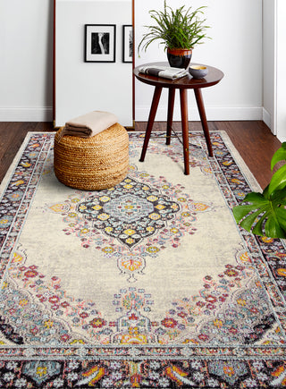 Bashian Dakota D113-MH121 Ivory/Navy Area Rug