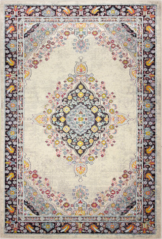 Bashian Dakota D113-MH121 Ivory/Navy Area Rug