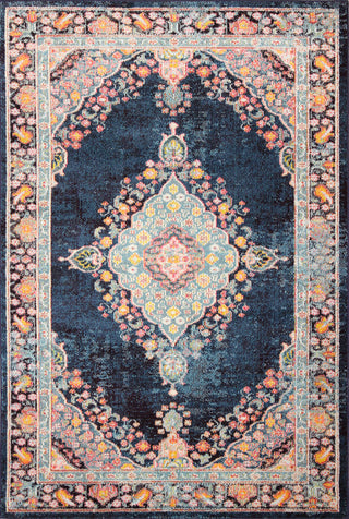 Bashian Dakota D113-MH122 Navy Area Rug