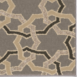 Orian Rugs Da Vinci Luxe Gray Area Rug Close Up