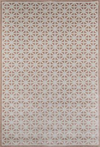 Momeni Dakota DAK13 Brown Area Rug main image