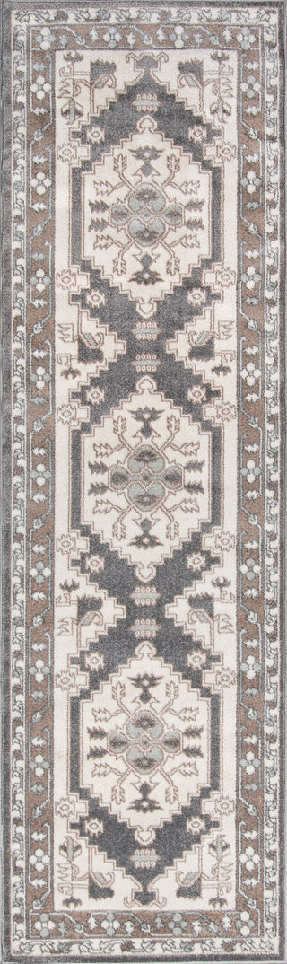 Momeni Dakota DAK19 Beige Area Rug Runner Image