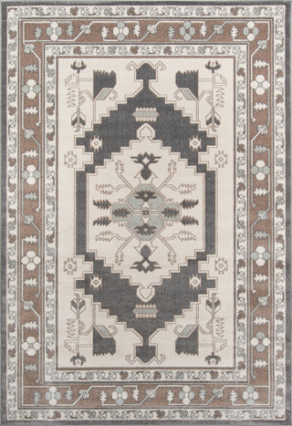 Momeni Dakota DAK19 Beige Area Rug main image