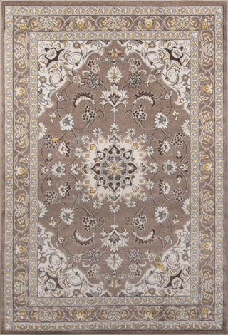 Momeni Dakota DAK22 Brown Area Rug main image