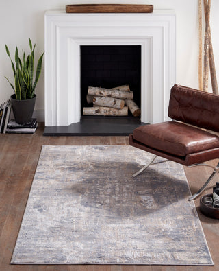 Momeni Dalston DAL-5 Grey Area Rug Room Image Feature