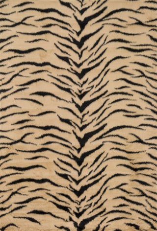 Loloi Danso Shag DA-03 Tiger Area Rug main image