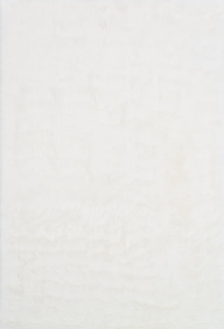 Loloi Danso Shag DA-04 Ivory Area Rug main image