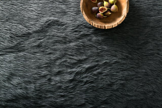 Loloi Danso Shag DA-09 Graphite Area Rug 