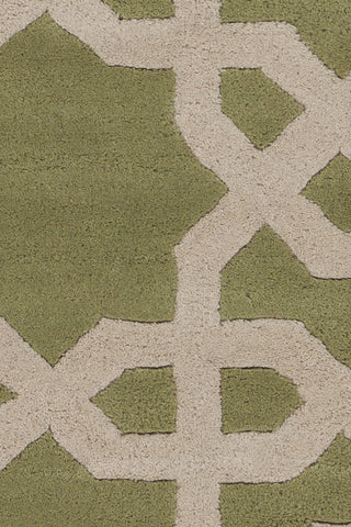 Chandra Davin DAV-25801 Green/Cream Area Rug Close Up