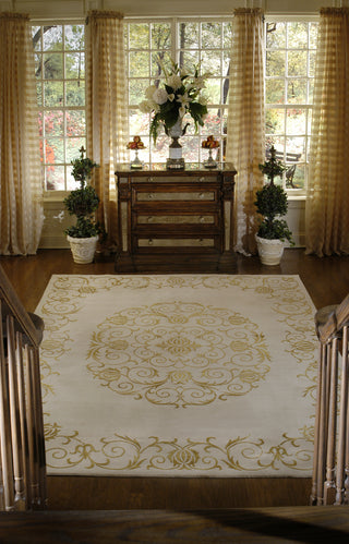 Momeni Dorado DD-03 Beige Area Rug Roomshot Feature