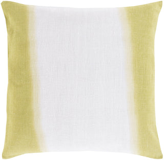 Surya Double Dip Divenely Dyed DD-001 Pillow 18 X 18 X 4 Poly filled