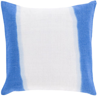 Surya Double Dip Divenely Dyed DD-002 Pillow 18 X 18 X 4 Poly filled